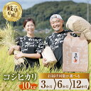 人気ランキング第6位「岐阜県本巣市」口コミ数「0件」評価「0」【 定期便 】 選べる コシヒカリ 10kg × 3回 6回 12回 令和5年産 令和6年産 2024年 2025年 米 こめ ごはん 白米 岐阜県産 本巣市 お米 精米 おにぎり 弁当 こしひかり もっちり 旨味 甘い 和食 寿司 アグリフレンドホリグチ 45000円 ~ [mt174]