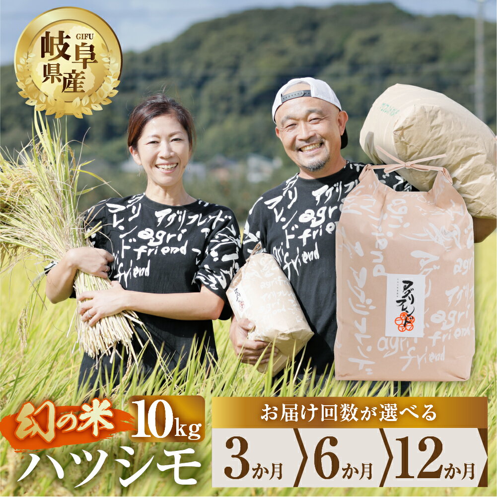 [ 定期便 ] 選べる ハツシモ 10kg × 3回 6回 12回 令和5年産 令和6年産 2024年 2025年 先行予約 米 こめ ごはん 白米 岐阜県産 本巣市 お米 精米 おにぎり 弁当 さっぱり 旨味 甘い 和食 寿司 アグリフレンドホリグチ 45000円 ~ [mt176]