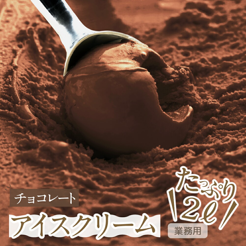 【ふるさと納税】 チョコレート アイスクリーム 2L 業務用