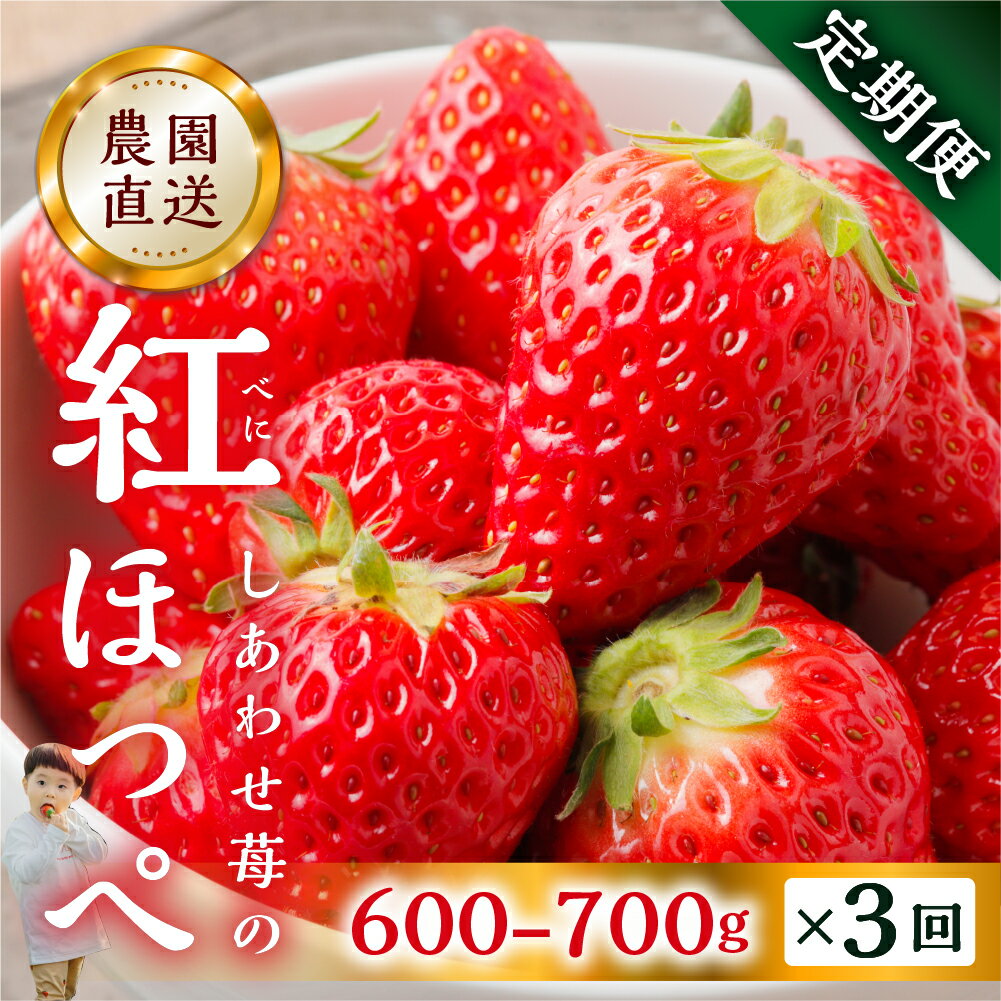 5位! 口コミ数「1件」評価「4」【定期便3回】自宅用 いちご 紅ほっぺ 600-700g ×3回 [しあわせ苺] サイズ バラバラ 訳あり 訳アリ 農園直送 [mt196]･･･ 