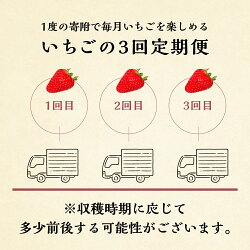 【ふるさと納税】【定期便3回】[希少] 特大サイズのしあわせ苺 (紅ほっぺ) 1パック 約450g ×3回【栄養をたっぷり吸収して育った特大いちご！】 [mt197]｜フルーツ 大粒 スイーツ 苺 いちご 先行予約 2025年 岐阜県 本巣市 42000円 お届け時期選べる 先行予約･･･ 画像2