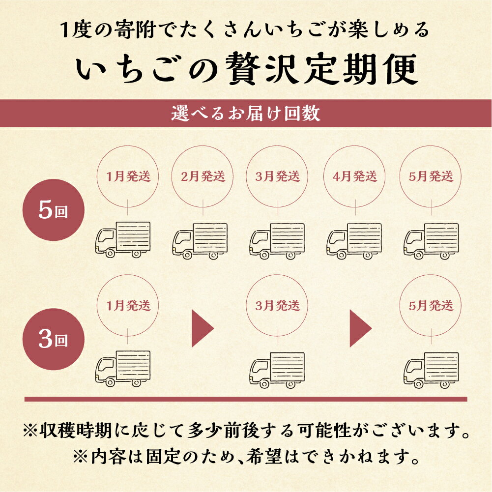 【ふるさと納税】【定期便3回 or 5回】選べる いちご贅沢 定期便 5回 紅ほっぺ 600-700g 1kg しあわせ苺 サイズ バラバラ 訳あり 訳アリ 含む 農園直送 [mt198] フルーツ 苺 イチゴ 人気 産地直送 お取り寄せ 甘い 激甘 本巣市 61000円 果物 2024年-2025年 先行予約