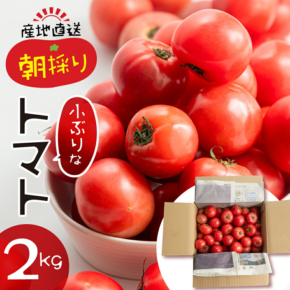 2位! 口コミ数「0件」評価「0」大容量 トマト 2kg 選べる 令和7年産 先行予約 受付 大玉トマト の 小ぶり サイズ おまかせ 不揃い 訳あり 訳アリ 野菜 岐阜県産･･･ 