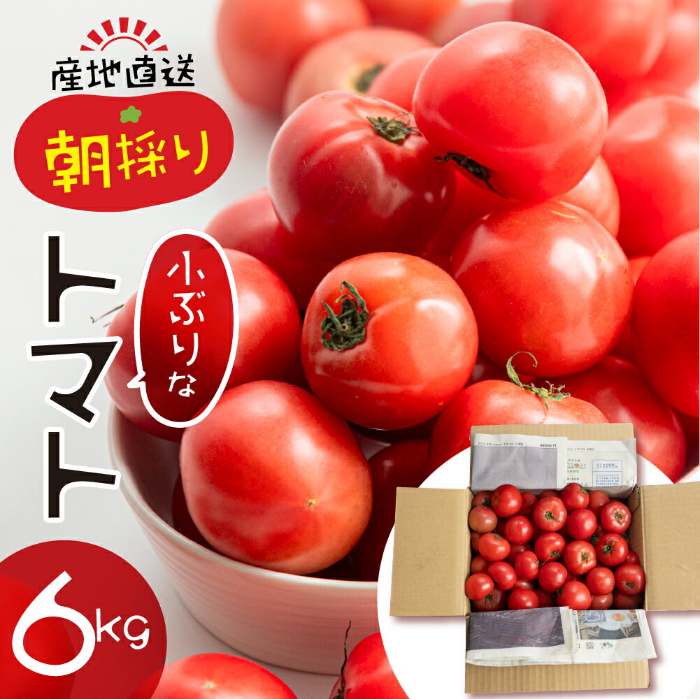 2位! 口コミ数「0件」評価「0」大容量 トマト 6kg 選べる 令和7年産 先行予約 受付 大玉トマト の 小ぶり サイズ おまかせ 不揃い 訳あり 訳アリ 野菜 岐阜県産･･･ 