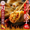 【ふるさと納税】徳山唐辛子の辛味 旨味がクセになる 徳山唐辛子餃子 40個入 冷凍餃子 激辛 業務用 ぎょうざ ギョウザ 冷凍 グルメ お取り寄せ おつまみ グ...