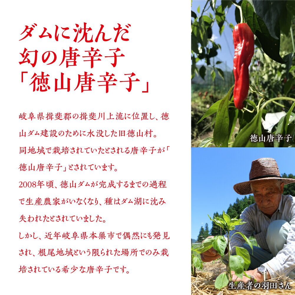 【ふるさと納税】【年内発送】徳山唐辛子の辛味 旨味がクセになる 徳山唐辛子餃子 40個入 冷凍餃子 激辛 業務用 ぎょうざ ギョウザ 冷凍 グルメ お取り寄せ おつまみ グルメ 冷凍食品 国産素材 ジューシー ピリ辛 [mt1578] 8000円 12月 年内 年内配送 3