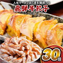 【ふるさと納税】飛騨牛 のリッチな風味が口中に広がる!「飛騨牛餃子 30個」 餃子 ぎょうざ ギョウザ 飛騨牛 牛肉 肉 和牛 国産 冷凍 お取り寄せ [mt1...
