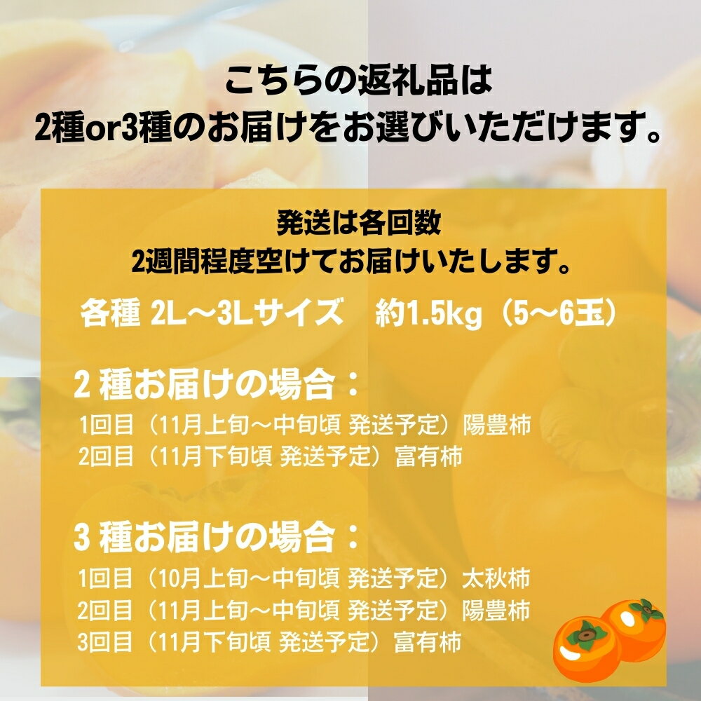 【ふるさと納税】【先行予約】令和8年産 [定期便] 選べる 柿 2 or 3種食べ比べ 約3kg 4.5kg 太秋柿 陽豊柿 富有柿 2L 〜 3Lサイズ 各5-6個 入り《10月上旬より収穫でき次第発送 かき お楽しみ フルーツ カキ 果物 くだもの 産地直送 先行予約 岐阜県 本巣市 高橋柿ファーム