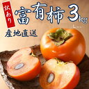 【ふるさと納税】【 訳あり 】令和7年産 富有柿 3kg Lサイズ 14個 カキ かき 果物 くだもの フルーツ 表面 キズ 色ムラ 家庭用規格 のため 訳アリ...