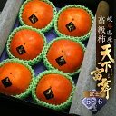 【ふるさと納税】《先行予約》令和7年産 岐阜の高級ブランド柿「天下富舞(てんかふぶ)」武士(もののふ) 5~6玉入り 10月下旬~11月中旬に配送 [mt357...