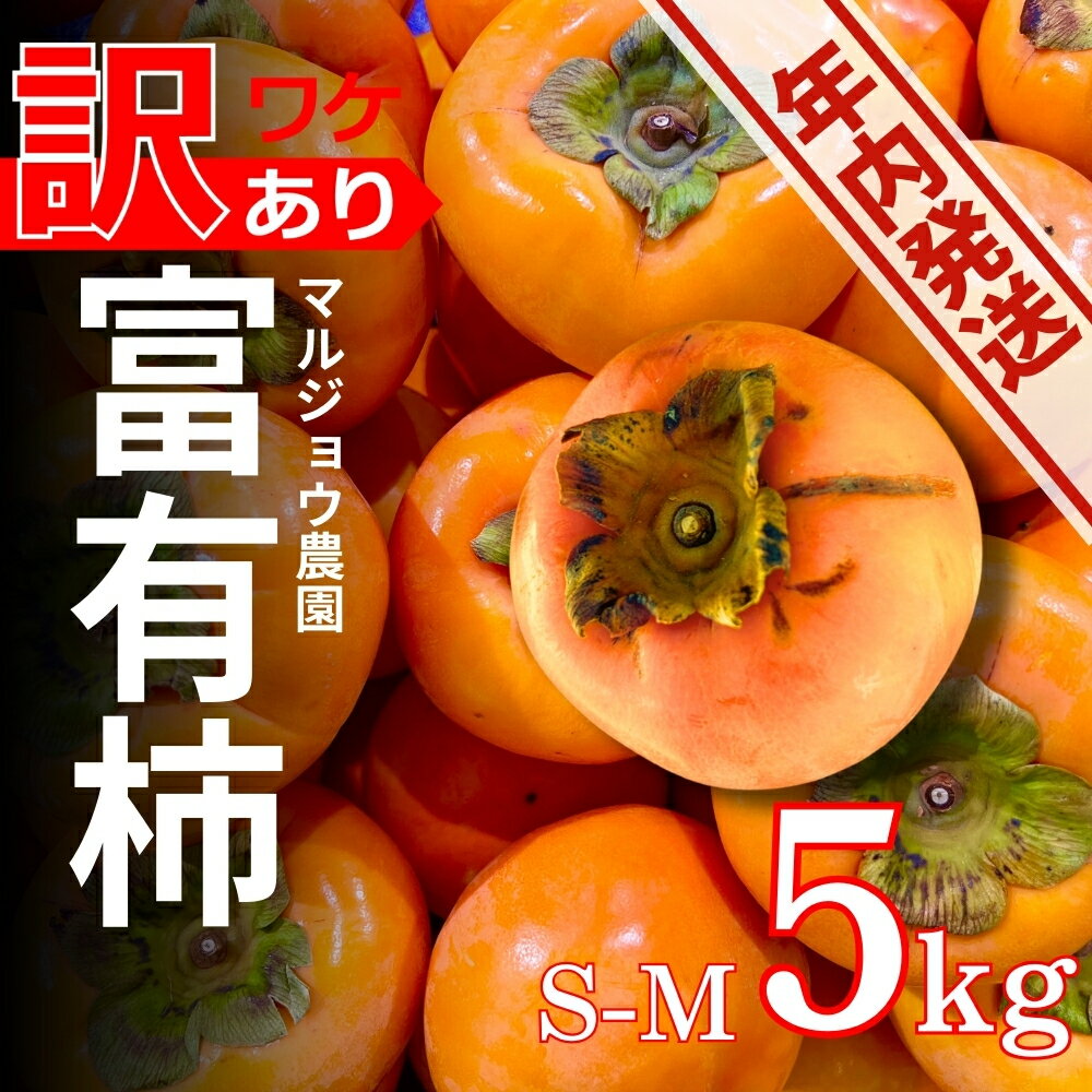 【ふるさと納税】《12月26日寄附完了分まで年内お届け！》【年内発送】令和6年産マルジョウ農園の家庭用富有柿 S-M 5kg | 訳あり わけあり 不揃い ご家庭用 柿 かき カキ フルーツ 果物 くだもの 年内配送 年内お届け 年内 12月のサムネイル