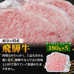 【ふるさと納税】飛騨牛・美濃ヘルシーポーク 食べ比べセット コース(4) [0140] 70000円 画像1