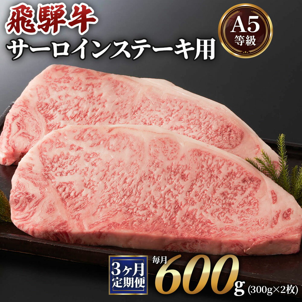 [3ヶ月定期便][A5等級]飛騨牛サーロインステーキ用 600g(300g×2枚) 本巣市 [0341] 90000円