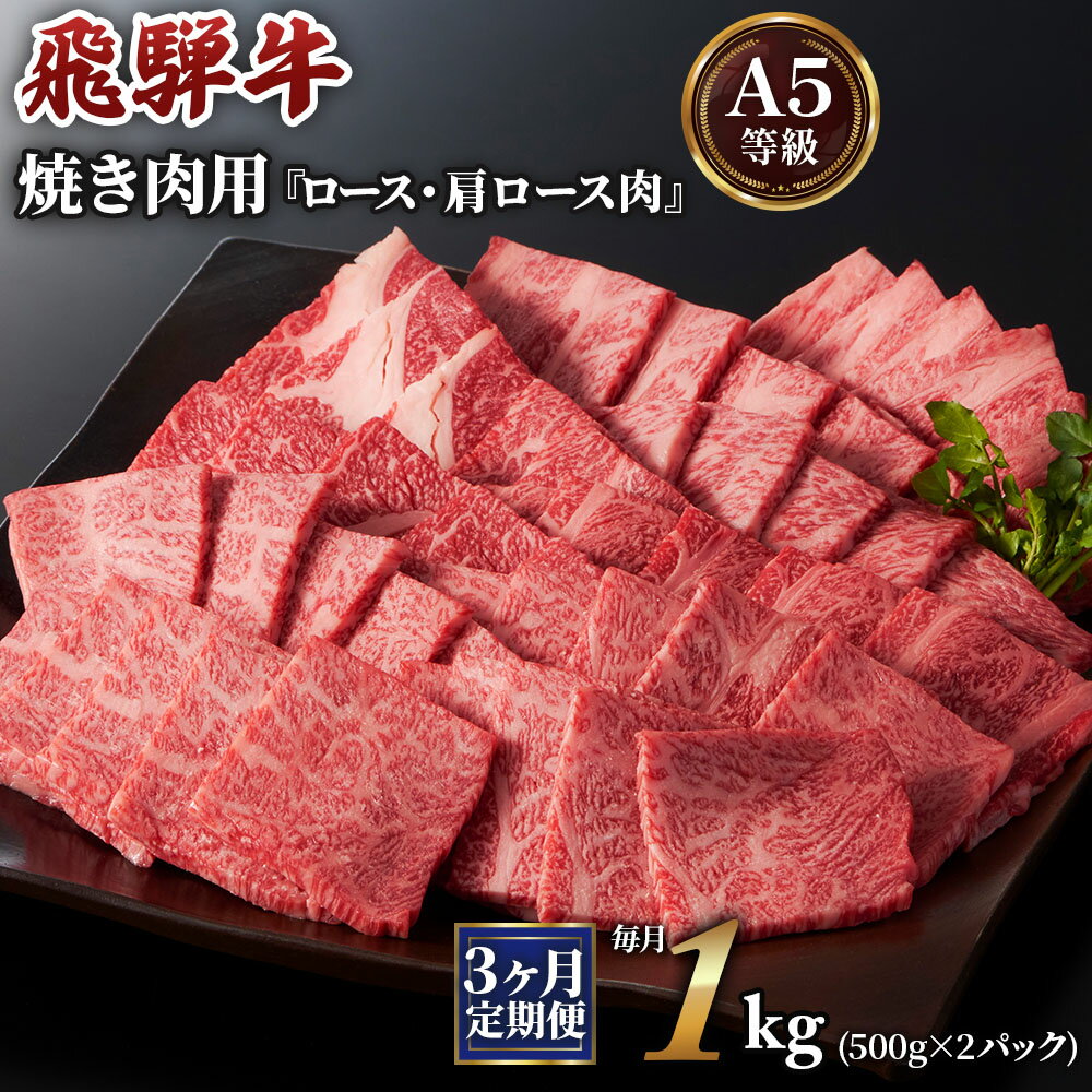 [現行寄附金額6月10日まで][3ヶ月定期便][A5等級]飛騨牛焼き肉用 1kg(500g×2パック)『ロース・肩ロース肉』 本巣市 [0345] 120000円