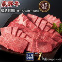 【ふるさと納税】[3ヶ月定期便][A5等級]飛騨牛焼き肉用 1kg(500g×2パック)『ロース・肩ロース肉』 本巣市 [0345] 120000円