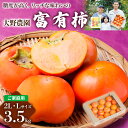 16位! 口コミ数「3件」評価「5」【先行予約】《柿の王様》大野農園の 富有柿 ご家庭用 2L・Lサイズ 約3.5kg 11月中旬～12月中旬発送予定 [0630][mt095･･･ 