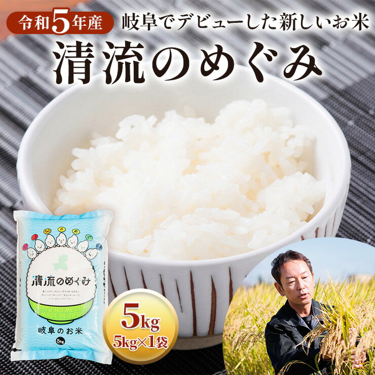 《現行寄附金額6月10日まで》令和5年産 岐阜でデビューした新しいお米 清流のめぐみ5kg×1袋 米 白米 新品種 やや柔らか 中粒 ほどよい粘り 9000円 [1427]