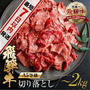 【ふるさと納税】訳あり 飛騨牛 切り落とし 【250g 400g 500g 1kg 1.5kg 2kg 】 | 牛肉 肉 和牛 国産牛 肉 焼肉 すき焼き a5...