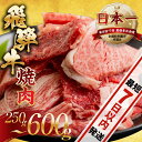 【ふるさと納税】【訳あり】飛騨牛 焼肉 切り落とし 250g 400g 500g 600g | 牛肉 肉 切落し わけあり ワケアリ 不揃い 冷凍 着日指定 す...