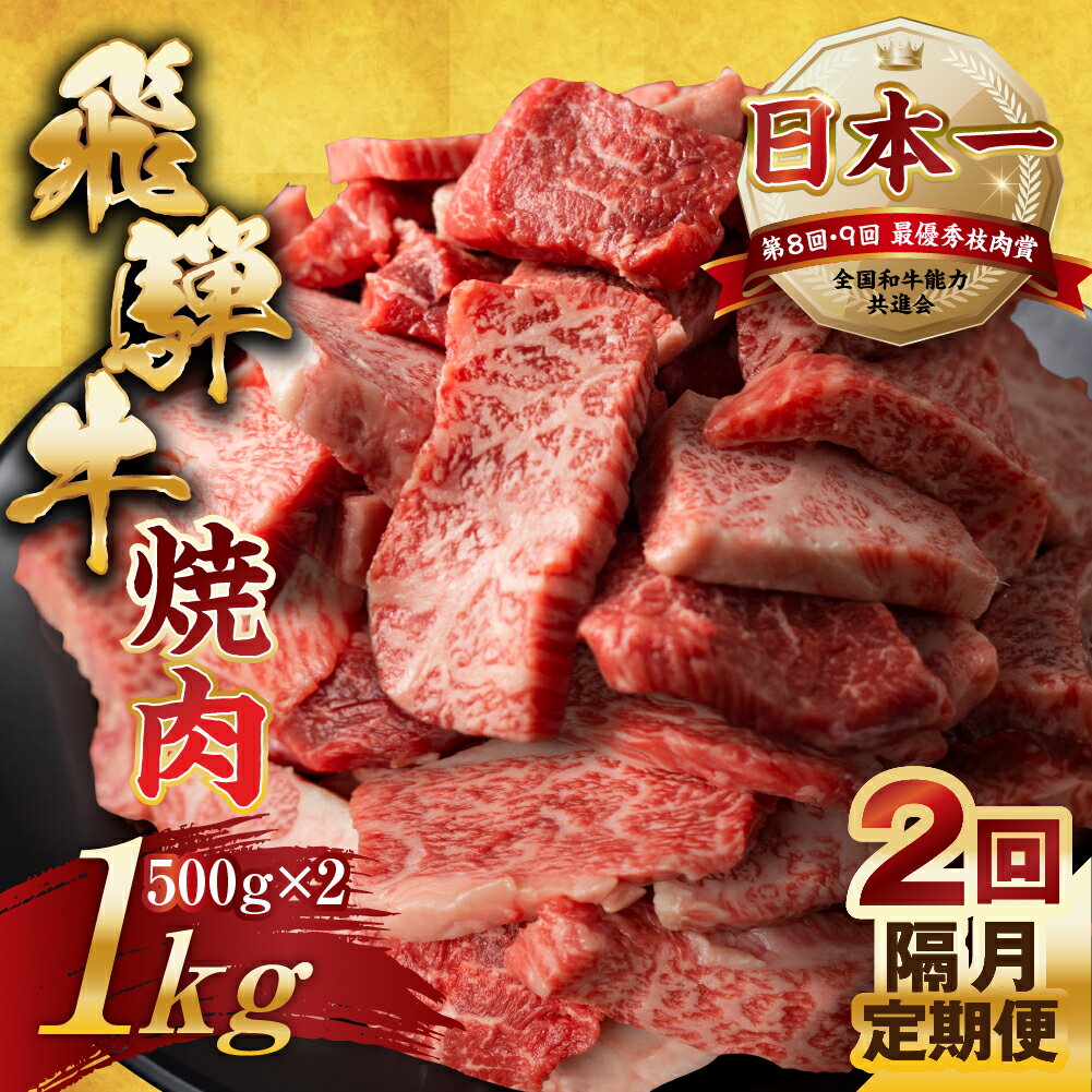 【ふるさと納税】【訳あり】定期便 飛騨牛 焼肉 切り落とし 500g × 2 計 1kg 2回隔月お届け | 定期便 お楽しみ 牛肉 肉 切落し 和牛 国産牛 黒毛和牛 牛肉 肉 わけあり ワケアリ 不揃い 小分け 冷凍 焼き肉 やきにく 本巣市 トキノ屋 食品 訳有 [mt449] 48000円