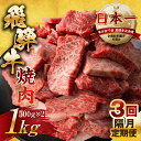 23位! 口コミ数「0件」評価「0」【訳あり】定期便 飛騨牛 焼肉 切り落とし 500g × 2 計 1kg 3回隔月お届け | 定期便 お楽しみ 牛肉 肉 切落し 和牛 国産･･･ 