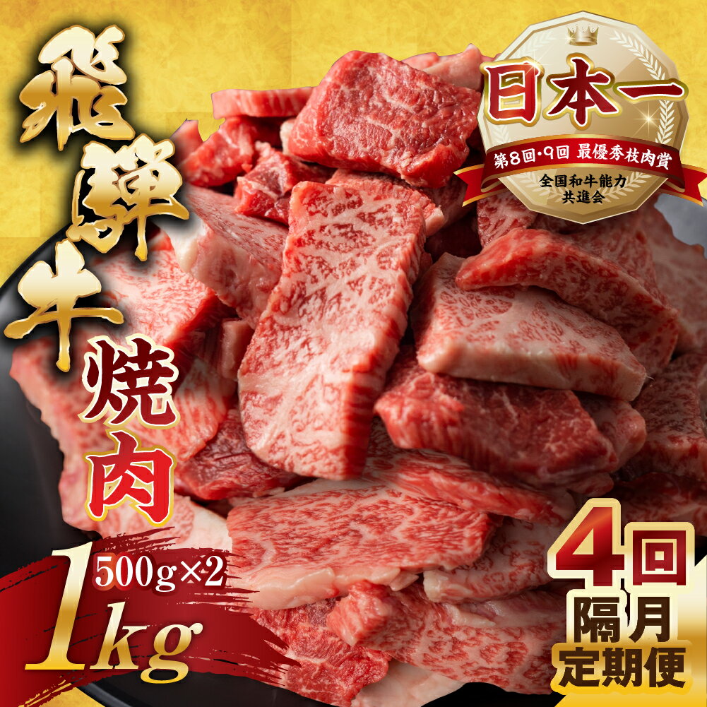 15位! 口コミ数「0件」評価「0」【訳あり】定期便 飛騨牛 焼肉 切り落とし 500g × 2 計 1kg 4回隔月お届け | 定期便 お楽しみ 牛肉 肉 切落し 和牛 国産･･･ 