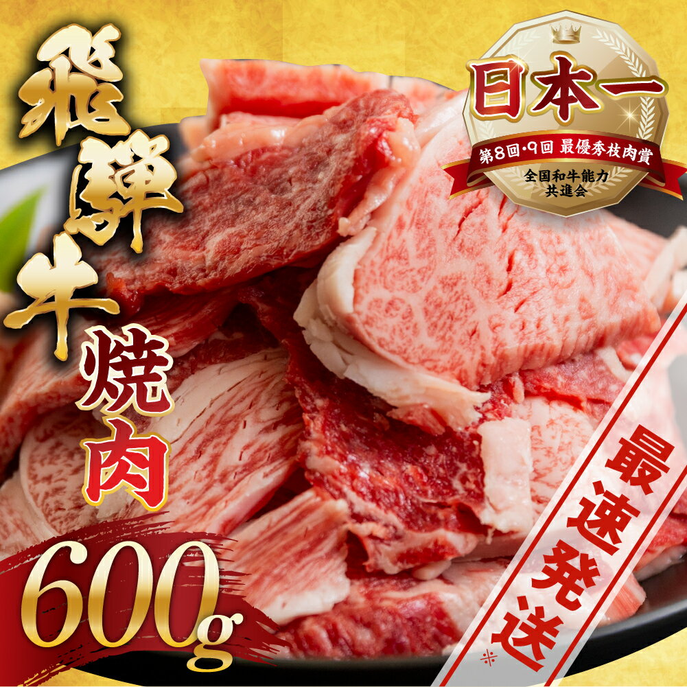 18位! 口コミ数「0件」評価「0」【訳あり】飛騨牛 焼肉 切り落とし 600g | 牛肉 肉 切落し わけあり ワケアリ 不揃い 冷凍 着日指定 すぐ届く 本巣市 トキノ屋 ･･･ 