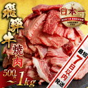 【ふるさと納税】 訳あり 飛騨牛 焼肉 切り落とし 500g or 600g or 500g × 2 計 1kg | 牛肉 肉 切落し わけあり 不揃い 小分け...