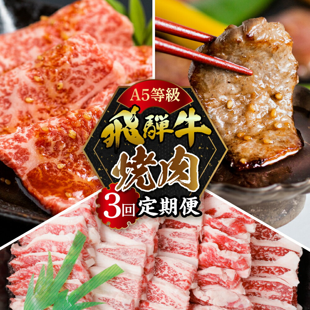 [定期便]A5 飛騨牛 焼肉 3回 定期便 計 1.05kg 3ヶ月 食べ比べ A5等級 5等級 a5 牛肉 肉 和牛 国産牛 黒毛和牛 焼肉 やきにく ヤキニク 赤身 霜降り お楽しみ トキノ屋食品 本巣市 [mt352] 40000円 4万円