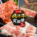 【ふるさと納税】【定期便】A5 飛騨牛 3回 定期便 計 1.05kg 3ヶ月 食べ比べ A5等級 5等級 a5 牛肉 肉 和牛 国産牛 黒毛和牛 焼肉 やきに...