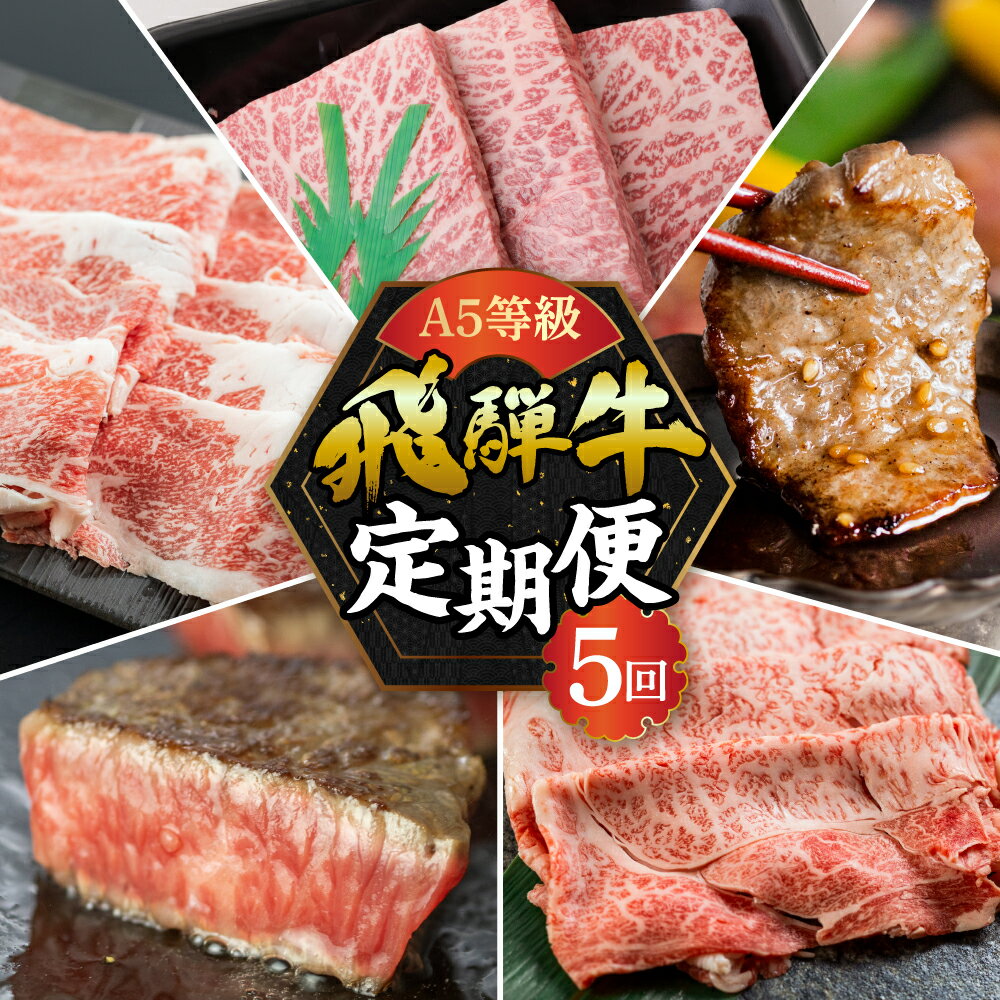 [現行寄附金額6月10日まで][定期便]A5 飛騨牛 5回 定期便 計 2.65kg 5ヶ月 食べ比べ 牛肉 肉 和牛 国産牛 黒毛和牛 焼肉 やきにく ヤキニク すき焼き すきやき しゃぶしゃぶ ステーキ 赤身 霜降り お楽しみ トキノ屋食品 本巣市 [mt354] 90000円 9万円