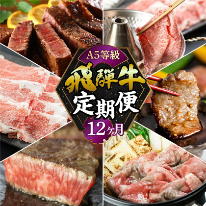 【定期便】A5 飛騨牛 12回 定期便 12ヶ月 毎月 食べ比べ A5等級 5等級 a5 牛肉 肉 和牛 国産牛 黒毛和牛 焼肉 やきにく ヤキニク すき焼き すきやき しゃぶしゃぶ ステーキ 赤身 霜降り お楽しみ トキノ屋食品 本巣市 [mt356] 250000円 25万円