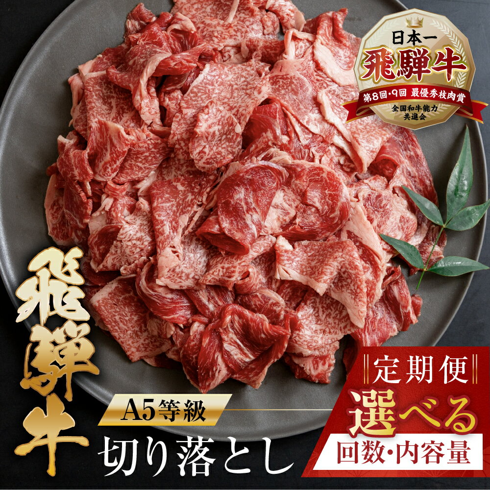 [訳あり] [A5等級] 飛騨牛 切り落とし 定期便 | 400g 500g 1kg 3回 5回 6回 12回 半年 1年 年間 楽天限定 牛肉 肉 和牛 国産牛 黒毛和牛 牛肉 肉 焼肉 すき焼き a5 不揃い 小分け 冷凍 本巣市 岐阜 トキノ屋 食品 [mt403]