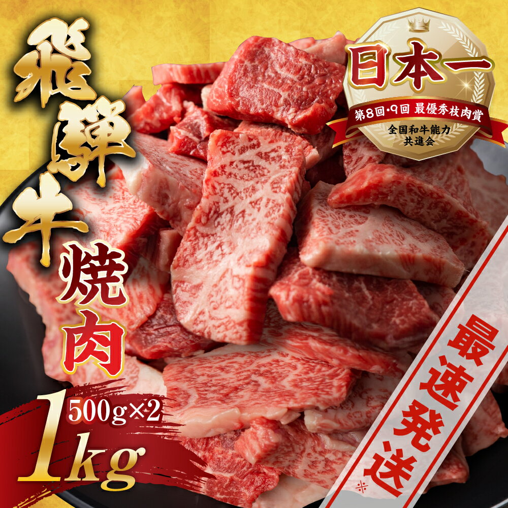 飛騨牛 【ふるさと納税】《高評価☆4.33》【訳あり】飛騨牛 焼肉 切り落とし 500g × 2 計 1kg | 牛肉 肉 切落し 和牛 牛肉 肉 わけあり ワケアリ 不揃い 小分け 冷凍 焼き肉 お肉 やきにく 着日指定 すぐ届く 本巣市 トキノ屋 食品 訳有 [mt427] 24000円 20000円 から 25000円