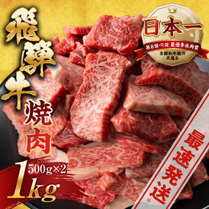 《高評価☆4.33》【訳あり】飛騨牛 焼肉 切り落とし 500g × 2 計 1kg | 牛肉 肉 切落し 和牛 牛肉 肉 わけあり ワケアリ 不揃い 小分け 冷凍 焼き肉 お肉 やきにく 着日指定 すぐ届く 本巣市 トキノ屋 食品 訳有 [mt427] 24000円 20000円 から 25000円