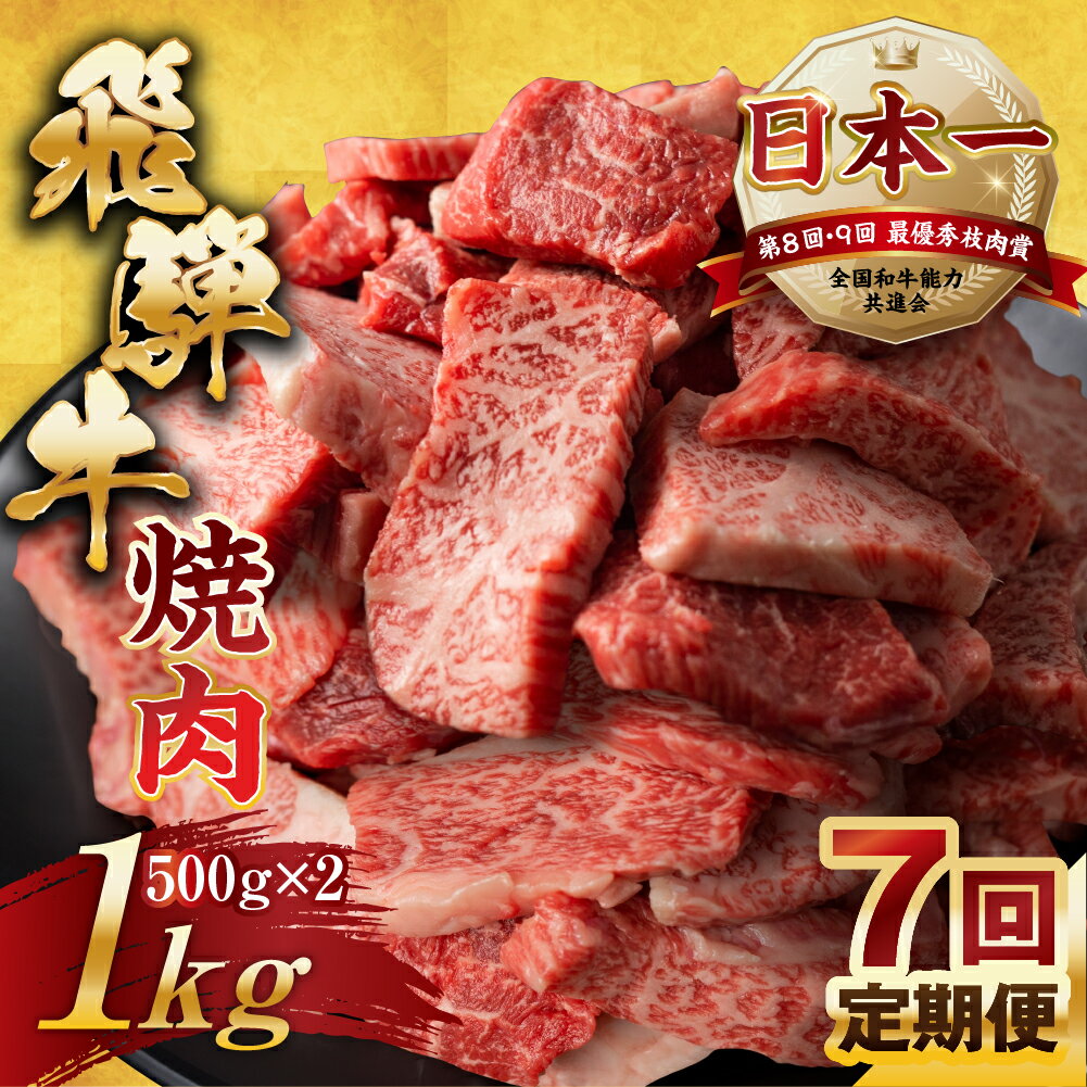 3位! 口コミ数「0件」評価「0」【訳あり】定期便 飛騨牛 焼肉 切り落とし 500g × 2 計 1kg 7回お届け | 定期便 お楽しみ 牛肉 肉 切落し 和牛 国産牛 ･･･ 