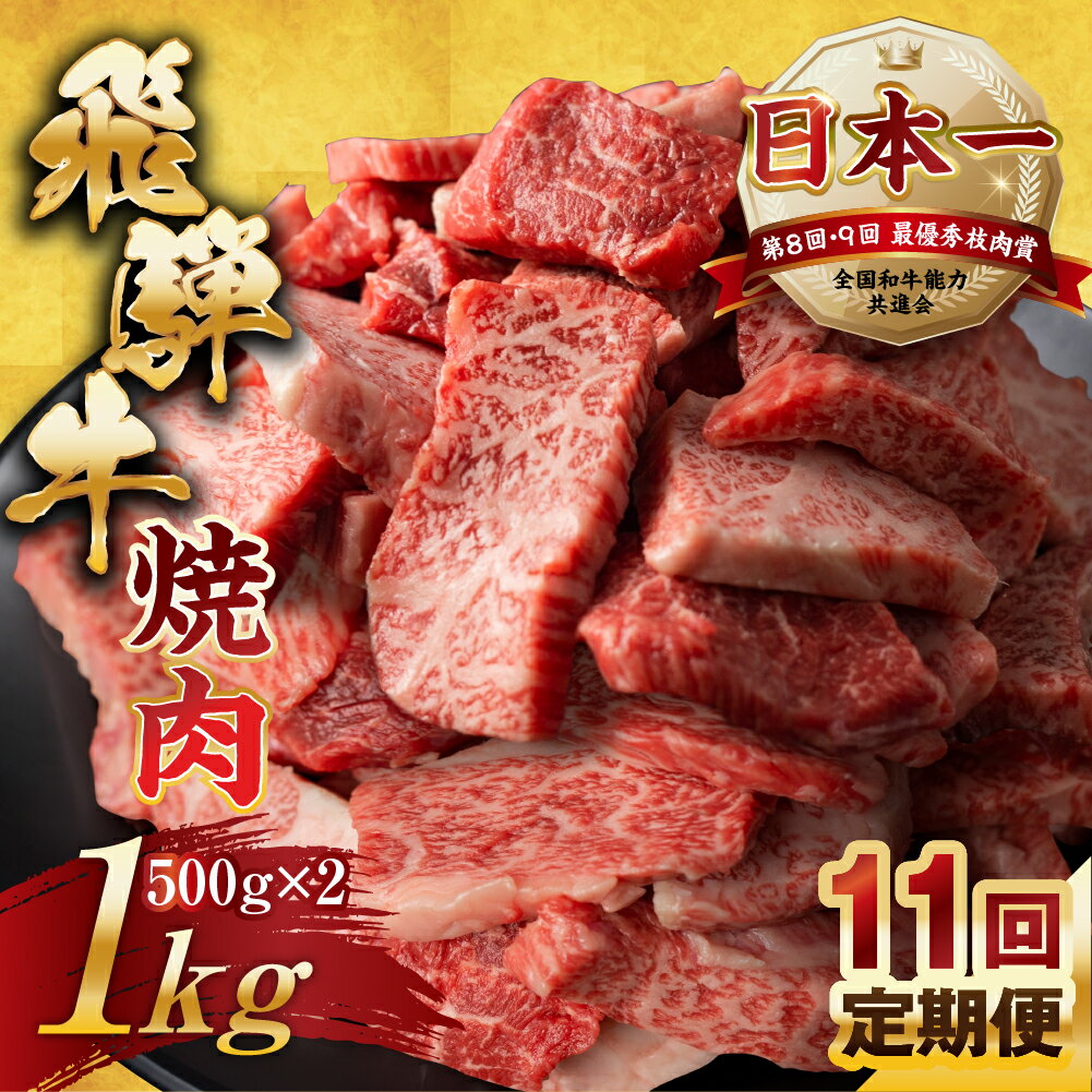 【ふるさと納税】【訳あり】定期便 飛騨牛 焼肉 切り落とし 500g × 2 計 1kg 11回お届け | 定期便 お...