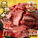 【ふるさと納税】【訳あり】定期便 飛騨牛 焼肉 切り落とし 500g × 2 計 1kg 12回お届け | 定期便 お楽しみ 牛肉 肉 切落し 和牛 国産牛 黒...