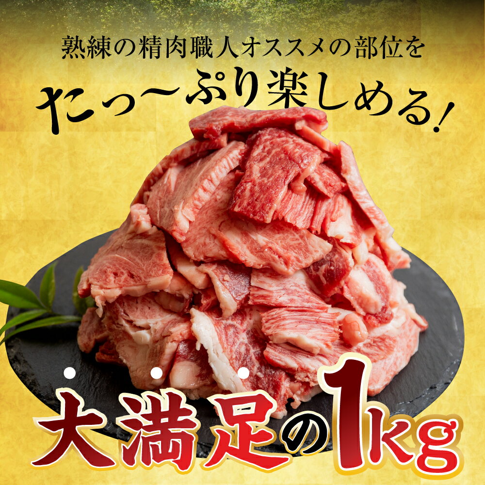 岐阜県本巣市の画像3