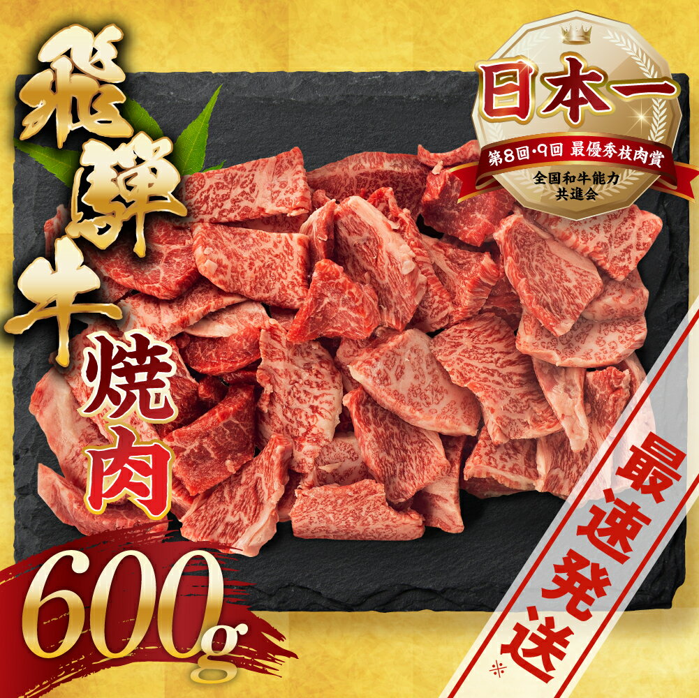 [訳あり]飛騨牛 焼肉 切り落とし 600g | 牛肉 肉 切落し わけあり ワケアリ 不揃い 冷凍 着日指定 すぐ届く 本巣市 トキノ屋 食品 訳有 [mt505] 15000円