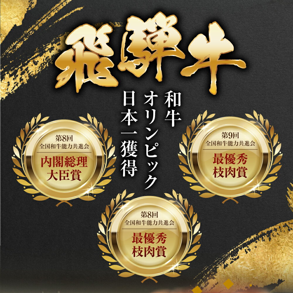 【ふるさと納税】【訳あり】定期便 飛騨牛 焼肉 切り落とし 500g × 2 計 1kg 2回お届け | 定期便 お楽しみ 牛肉 肉 切落し 和牛 国産牛 黒毛和牛 牛肉 肉 わけあり ワケアリ 不揃い 小分け 冷凍 焼き肉 やきにく 本巣市 トキノ屋 食品 訳有 [mt438] 48000円