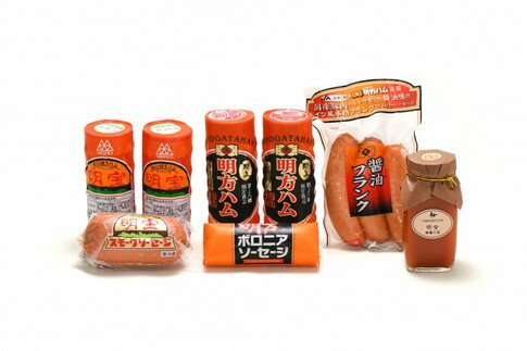 【ふるさと納税】郡上特選ハムC / 食品 精肉 肉加工品 加工品 セット 詰め合わせ 30000円