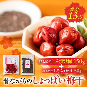 【ふるさと納税】郡上延年しそ漬け梅150g郡上延年しそふりかけ30gセット / プラムナチュール 暑さ 対策 食品 漬物 梅干し 梅干し しそ梅 5000円 G0070