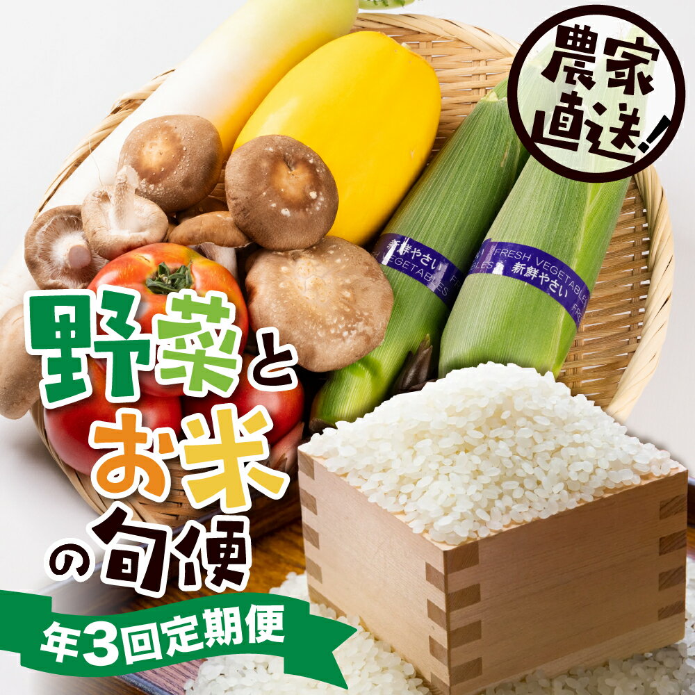 【ふるさと納税】[定期便]郡上の旬野菜とお米（年3回） 季節の野菜 / 食品 野菜 セット 詰め合わせ 25...