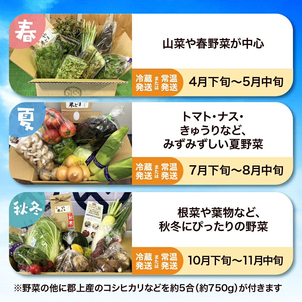 【ふるさと納税】[定期便]郡上の旬野菜とお米（年3回） 季節の野菜 / 食品 野菜 セット 詰め合わせ 25000円
