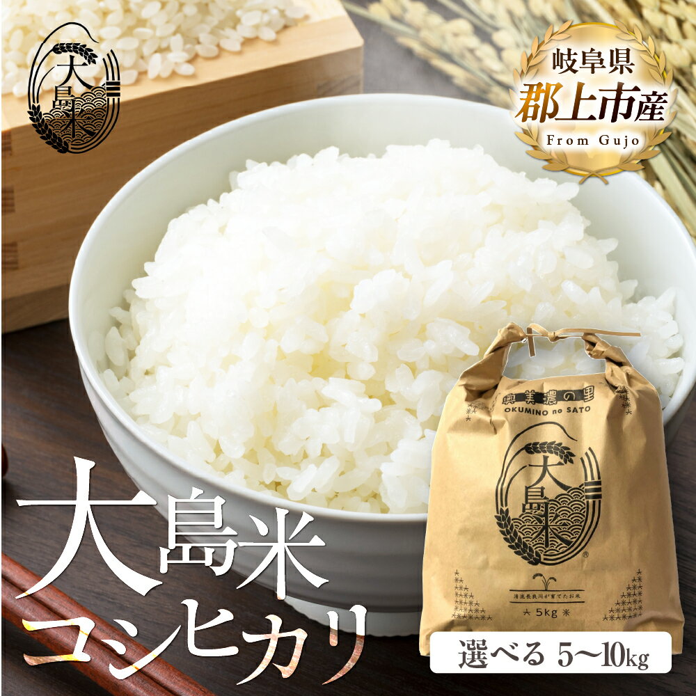 「精米」大島米5kg 令和7年産 内容量が選べる / 食品 米 精米 白米 お米 コメ こめ 米 15000円 29000円
