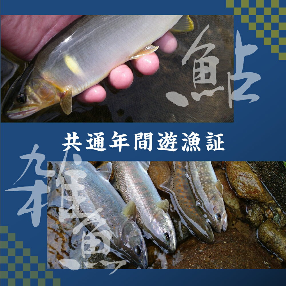 【ふるさと納税】岐阜県郡上市 郡上漁協発行 鮎・雑魚 共通年間遊漁証（2026シーズン）郡上漁協 アユ釣り 渓流釣り 引換券 年券 チケット 67000円