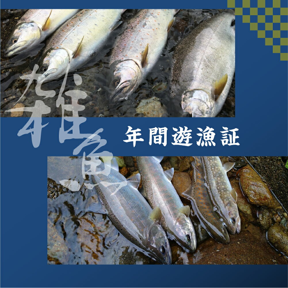【ふるさと納税】岐阜県郡上市 雑魚年間遊漁証（2026シーズン）郡上漁協 発行 渓流釣り 引換券 年券 チケット 22000円