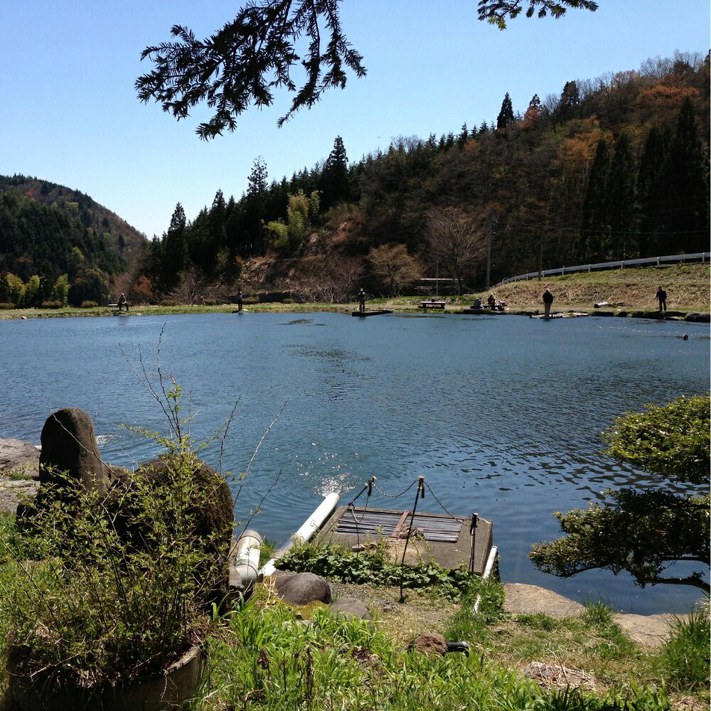 【ふるさと納税】フィッシング母袋 釣り 1日券 (男性/女性) 利用券 体験 チケット 川釣り 釣り堀 釣堀 旅行 アクティビティ アウトドア スポーツ ギフト券 券 体験チケット 釣 岐阜県 郡上市 f212199-gujo-10000977 岐阜県郡上市 サンプル画像3