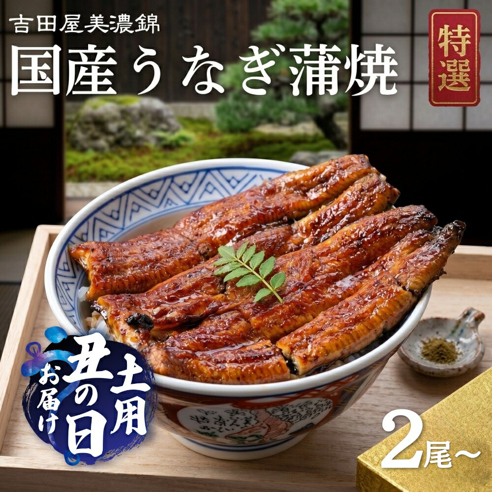 【ふるさと納税】吉田屋美濃錦 うなぎ蒲焼 2尾 国産 うなぎ 蒲焼 国産うなぎ ウナギ 鰻 長蒲焼 かばやき 美味しい 人気 カットうなぎ 国産 3尾 4尾 5尾 6尾 12尾 ふっくら ギフト お中元 お歳暮 贈答 うな丼 ひつまぶし うな重 贅沢 ご褒美 特上 土用の丑の日 岐阜県 郡上市